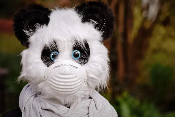 ΜΠΕΤ9 Καζίνο Υποστηριξη